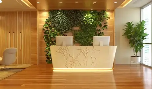 تصميم مناطق الاستقبال والضيافة